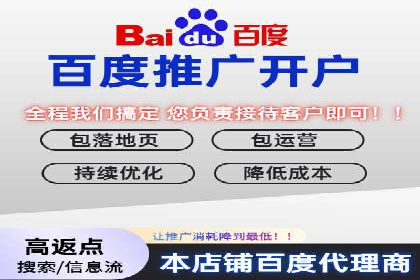 百度竞价包年服务：某行业领导品牌的成功故事