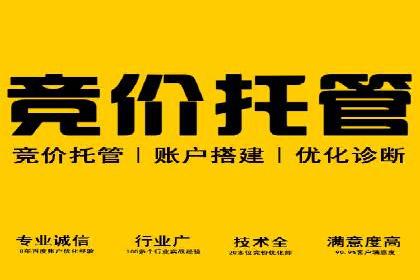 突破传统：专业SEM托管在中小企业中的运用